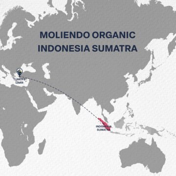 Moliendo Organic Indonesia Sumatra (Çekirdek) Yöresel Kahve 250 g