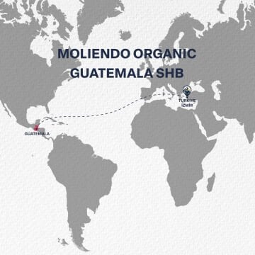 Moliendo Organic Guatemala SHB (Çekirdek) Yöresel Kahve 250 g
