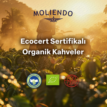 Moliendo Organic Blend No:1 (Çekirdek) Kahve 250 g